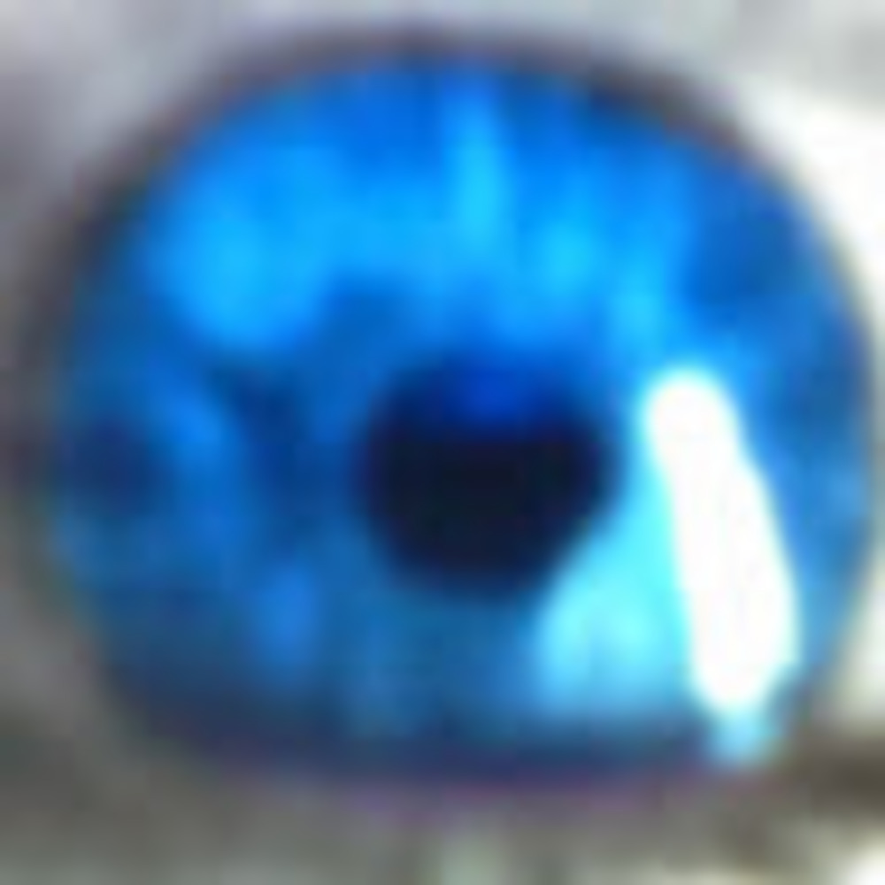 Meet your Posher, Ellaguru